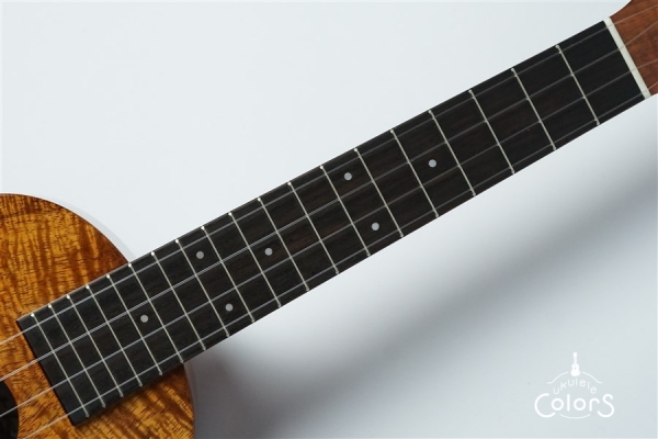 ECO-C+ - Koa